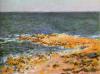 Claude Monet art print