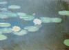 Claude Monet art print