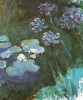 Claude Monet art print