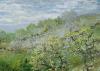 Claude Monet art print