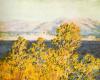 Claude Monet art print