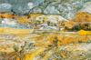 Vincent Van Gogh art print
