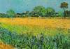 Vincent Van Gogh art print