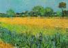 Vincent Van Gogh art print