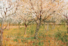 Vincent Van Gogh art print