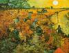 Vincent Van Gogh art print