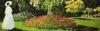 Claude Monet art print