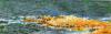 Claude Monet art print