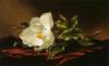 Martin Johnson Heade art print