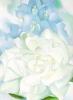 Georgia O'Keeffe art print