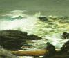 Winslow Homer art print