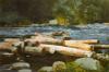 Winslow Homer art print