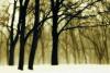 David Lorenz Winston art print