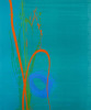 Charlotte Cornish art print