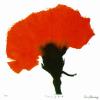 Susie Perring art print