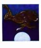 Sonia Rollo art print