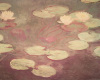 Claude Monet art print