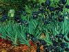 Vincent Van Gogh art print