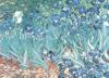 Vincent Van Gogh art print