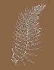 Modern Editions art print