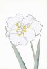 Modern Editions art print