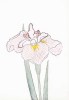 Modern Editions art print