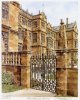 Glyn Martin art print