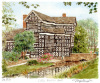 Glyn Martin art print