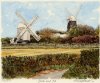 Glyn Martin art print