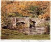 Glyn Martin art print