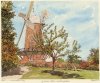 Philip Martin art print