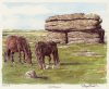 Glyn Martin art print
