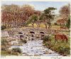 Glyn Martin art print