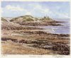 Glyn Martin art print