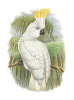 William Hart art print