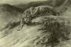 Herbert Thomas Dicksee art print