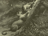 Herbert Thomas Dicksee art print