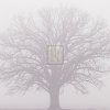 Adam Brock art print