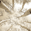 Adam Brock art print