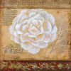 Dysart art print