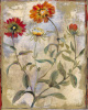 Dysart art print