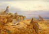 Archibald Thorburn art print