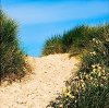 Martin Smith art print