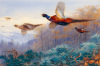 Archibald Thorburn art print