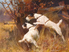 Arthur Wardle art print