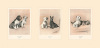 Cecil Aldin art print
