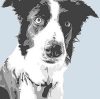 Emily Burrowes art print