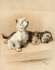 Cecil Aldin art print