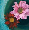 Tony Koukos art print