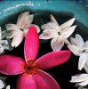 Tony Koukos art print